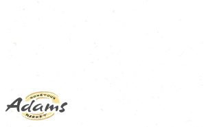 adams 20