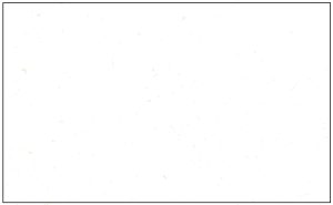 Generic-60: 1Up White 'Blank' - No Logo (1000 pk)