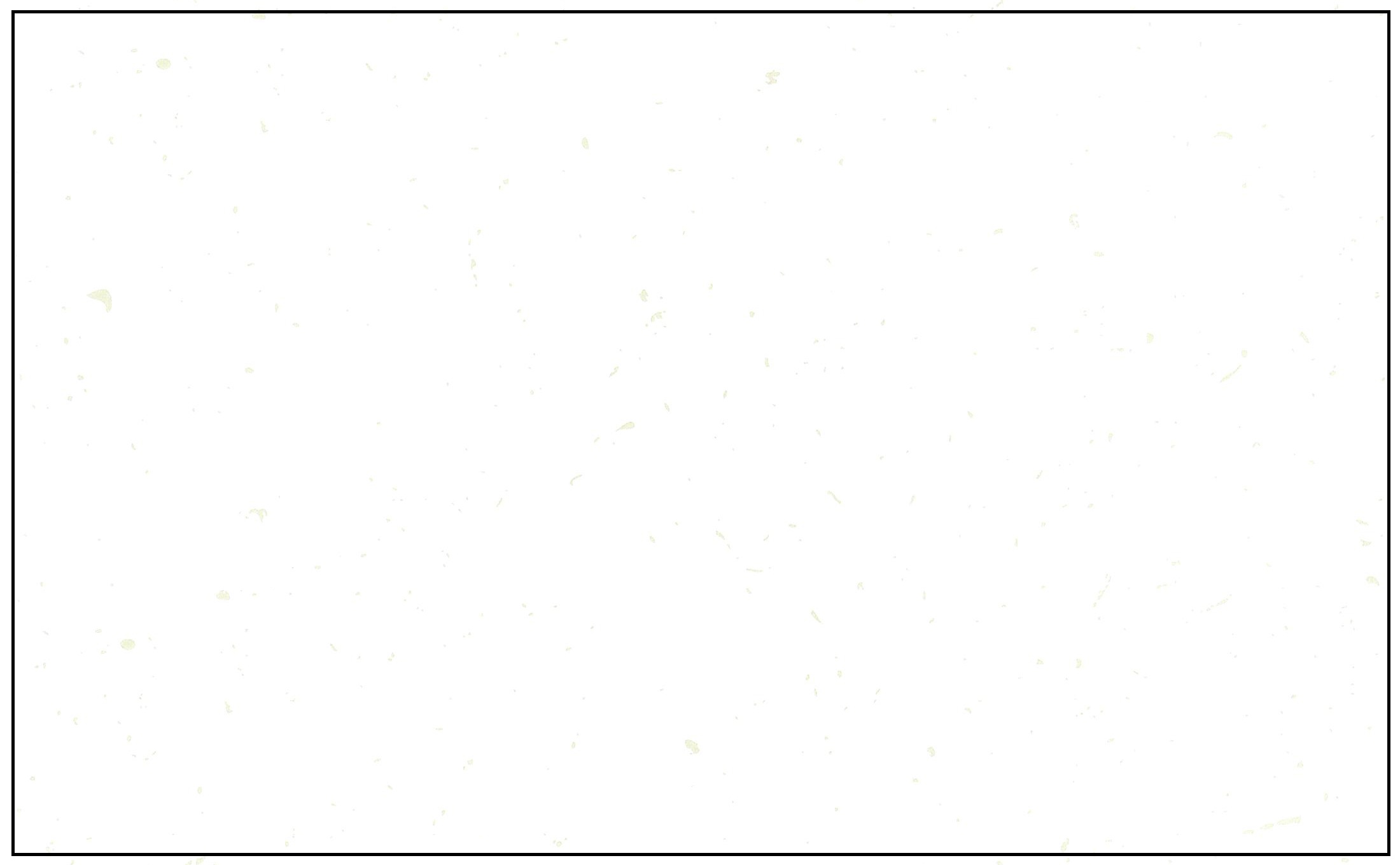 Generic-60: 1Up White 'Blank' - No Logo (1000 pk)