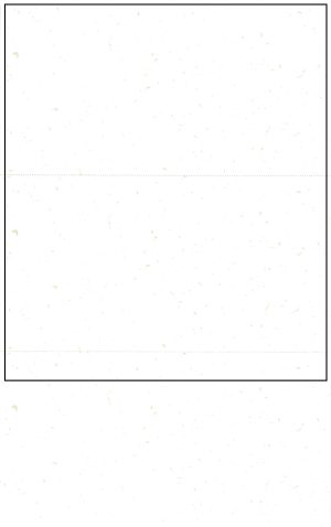 Generic-64: 3Up White 'Blank' - No Logo (1000 pk)