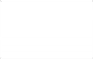 s2c 91331