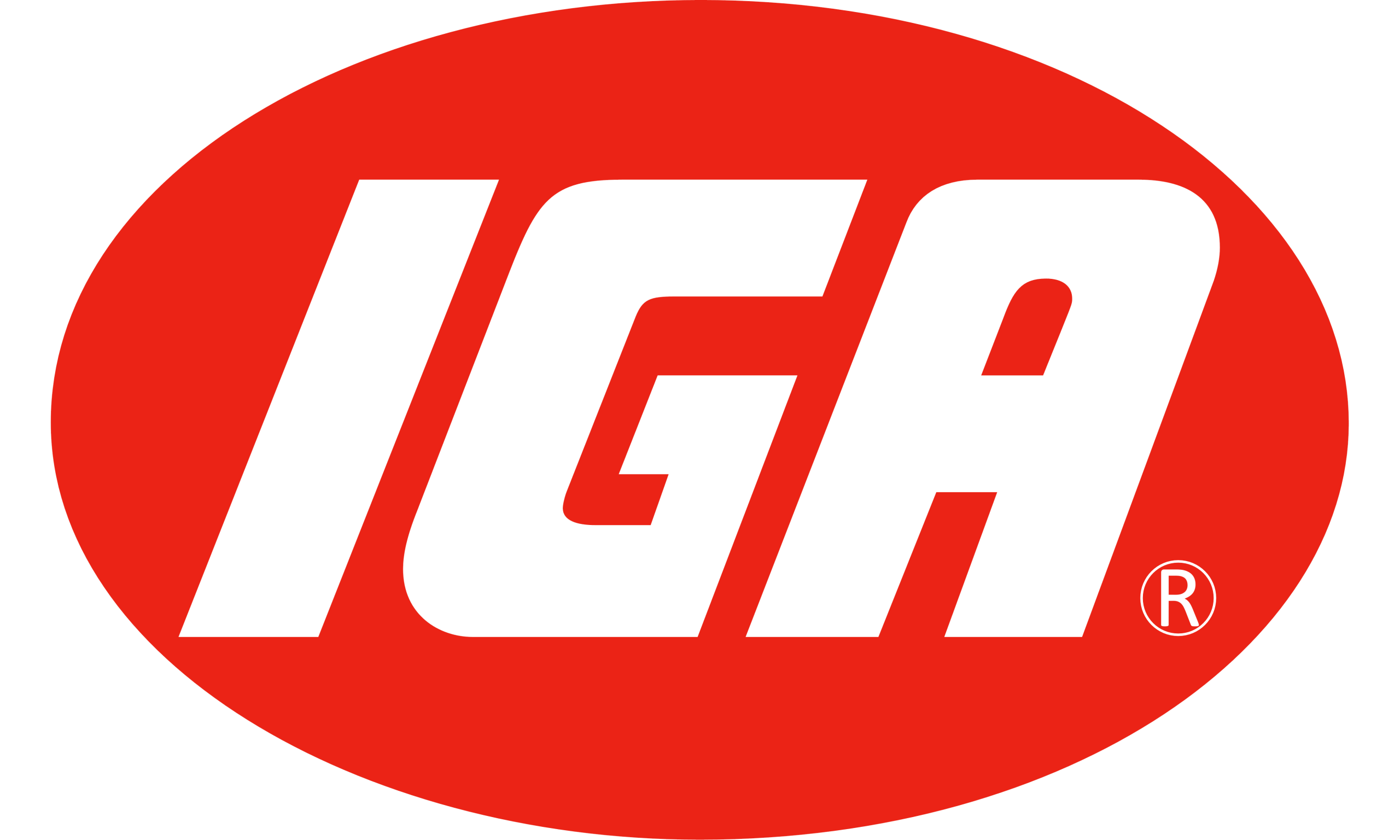 IGA Logo 1 Scaled
